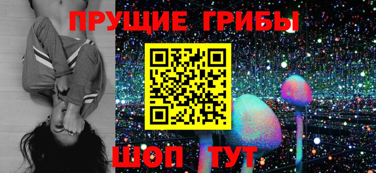 Псилоцибиновые грибы Psilocybe Урус-Мартан